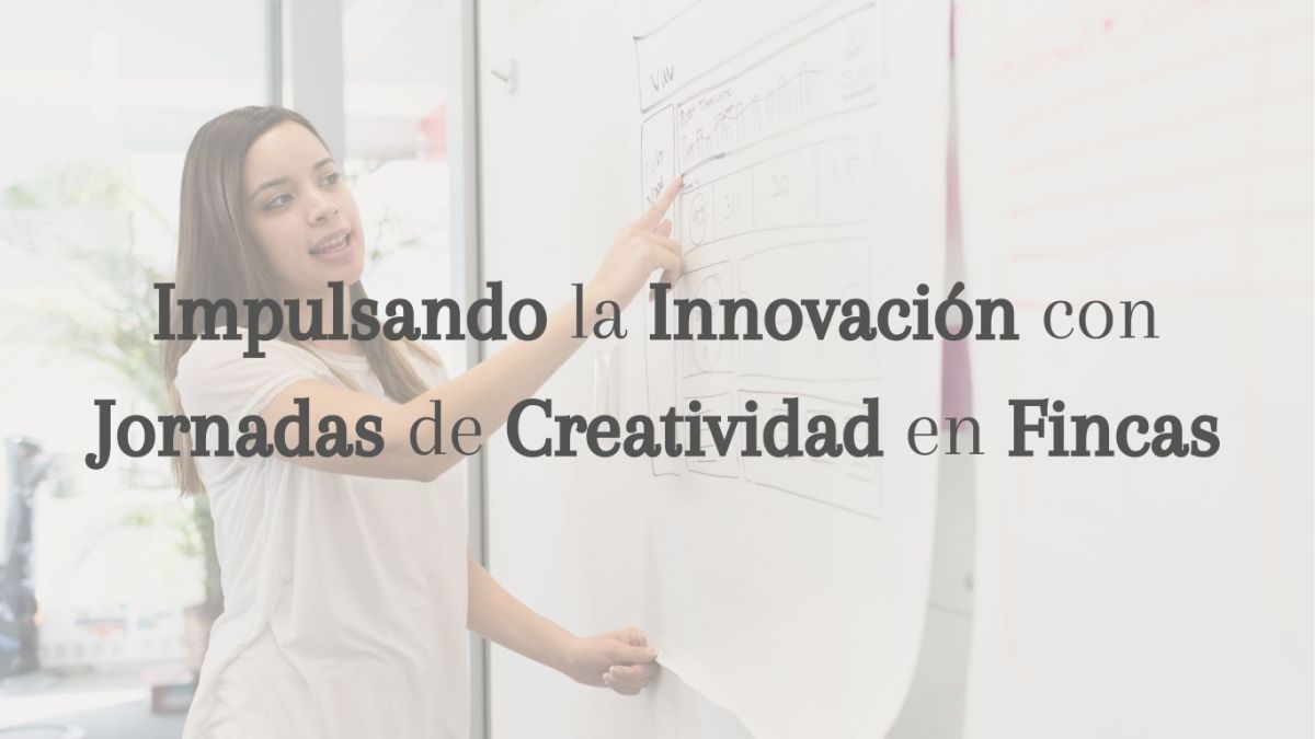 Impulsando la Innovación con Jornadas de Creatividad en Fincas