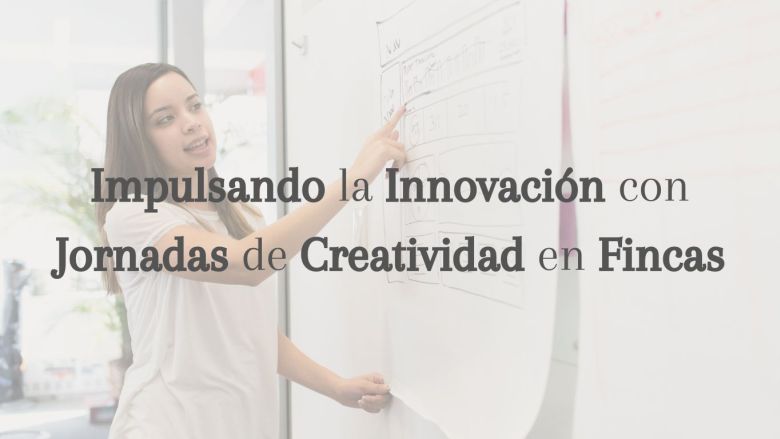 Impulsando la Innovación con Jornadas de Creatividad en Fincas